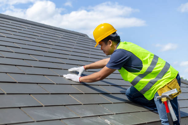 Best Roof Gutter Cleaning  in Wellington, FL